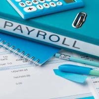 Payroll Bureau Services 1